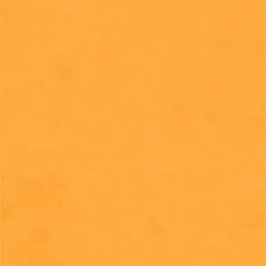 Profile image of 飛貴
