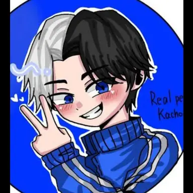 Profile image of かちょー