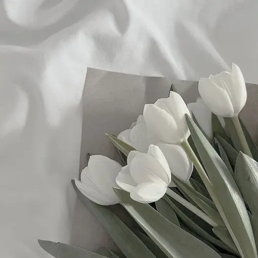 Onedoor312의 김동현