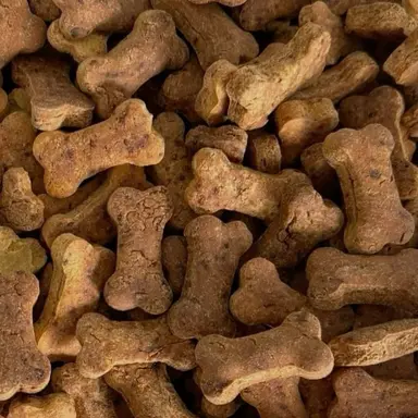 Profile image of Chip