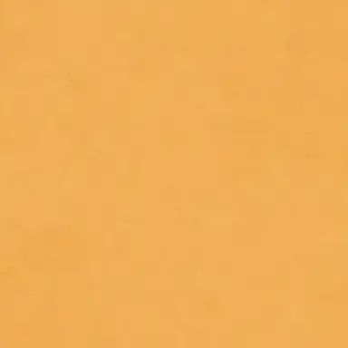 Profile image of 大西流星