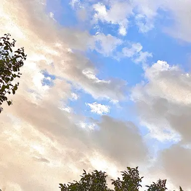 Profile image of たお