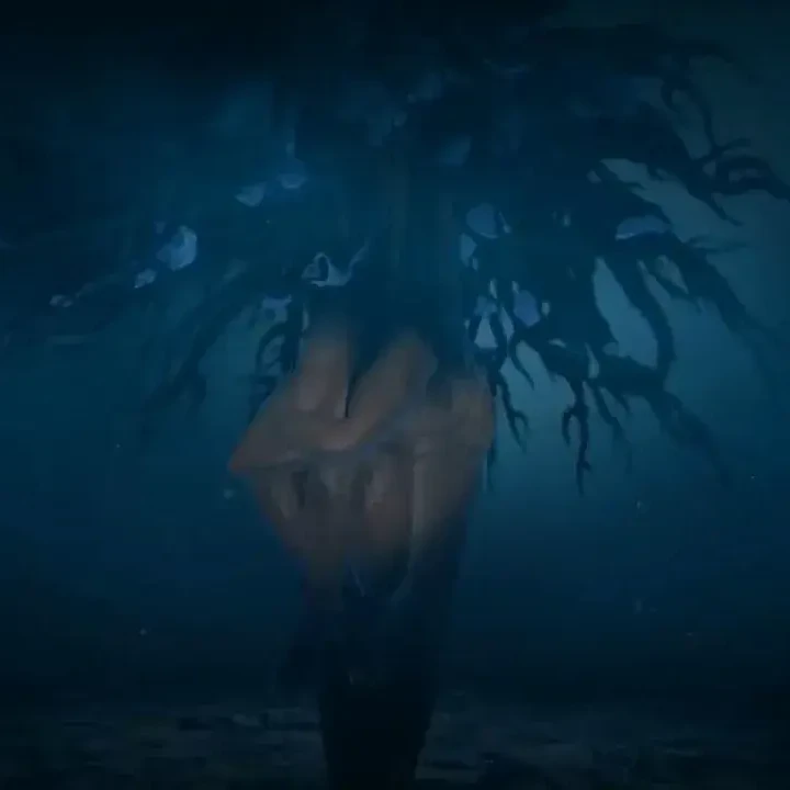 데보스군 본거지