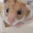 ハムス