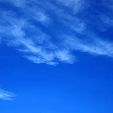 Profile image of 파이브