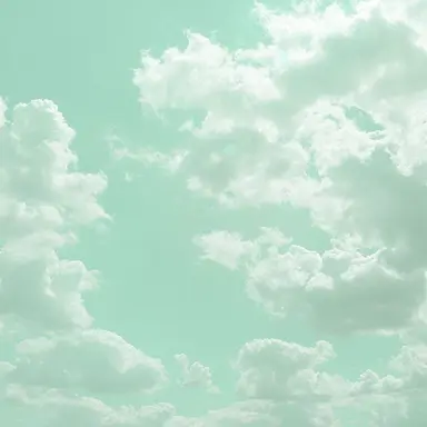 Profile image of 티푸