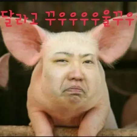 SleekQuest8192의 장키비디 토일렛