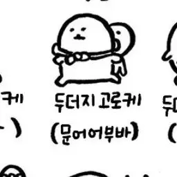 Profile image of 문어두더지 고로케