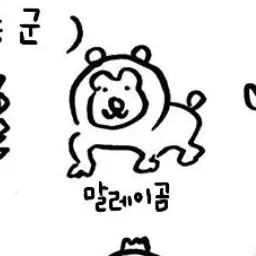 Profile image of 말레이곰