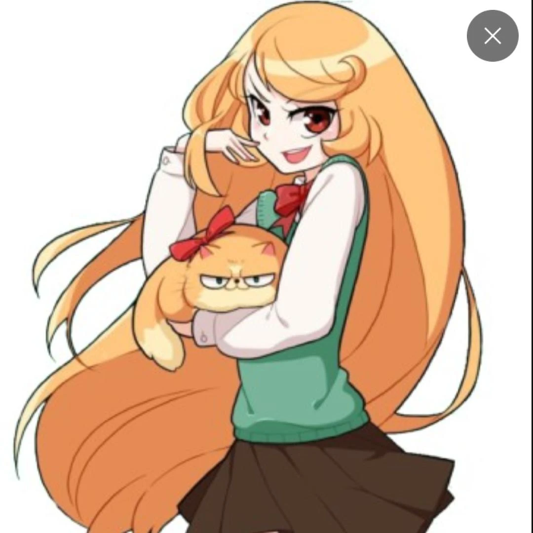 조예지