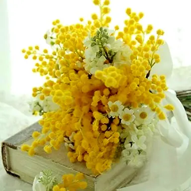 Profile image of 일영