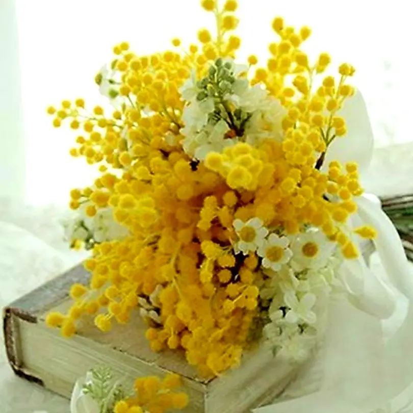 BluntTrump7726의 김일영