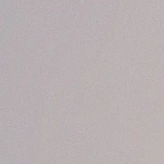 INstaysteak의 황현진