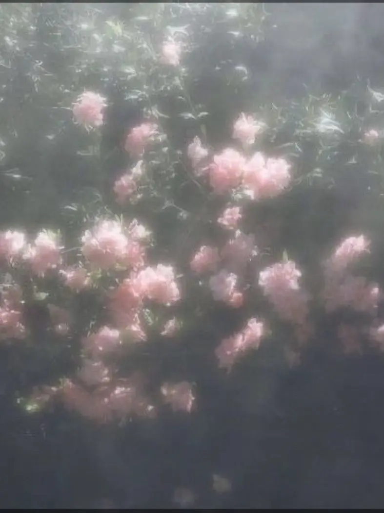 RUMAMO의 어반로어