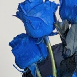 박.원.빈. 대표 이미지