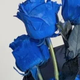 Profile image of 박.원.빈.