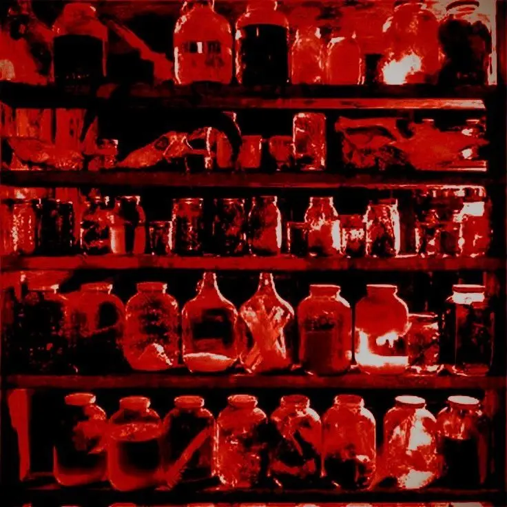 dlwpdksgka의 닥터