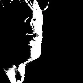 Profile image of 금성제