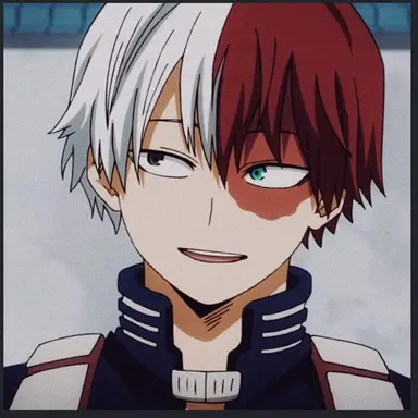 Profile image of Shoto Todoroki