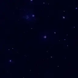 Profile image of 서대철