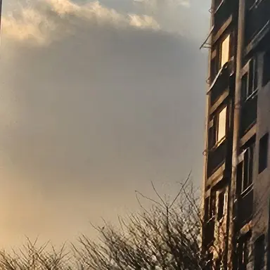 Profile image of NARRATION