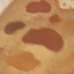 Profile image of 鉢屋 三郎