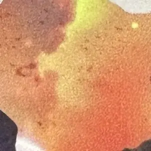 Profile image of 不破 雷蔵