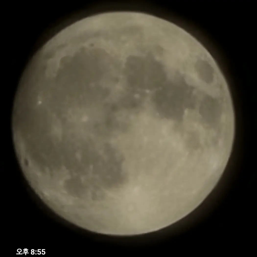 PinkCape8843의 리레볼루션 농구부