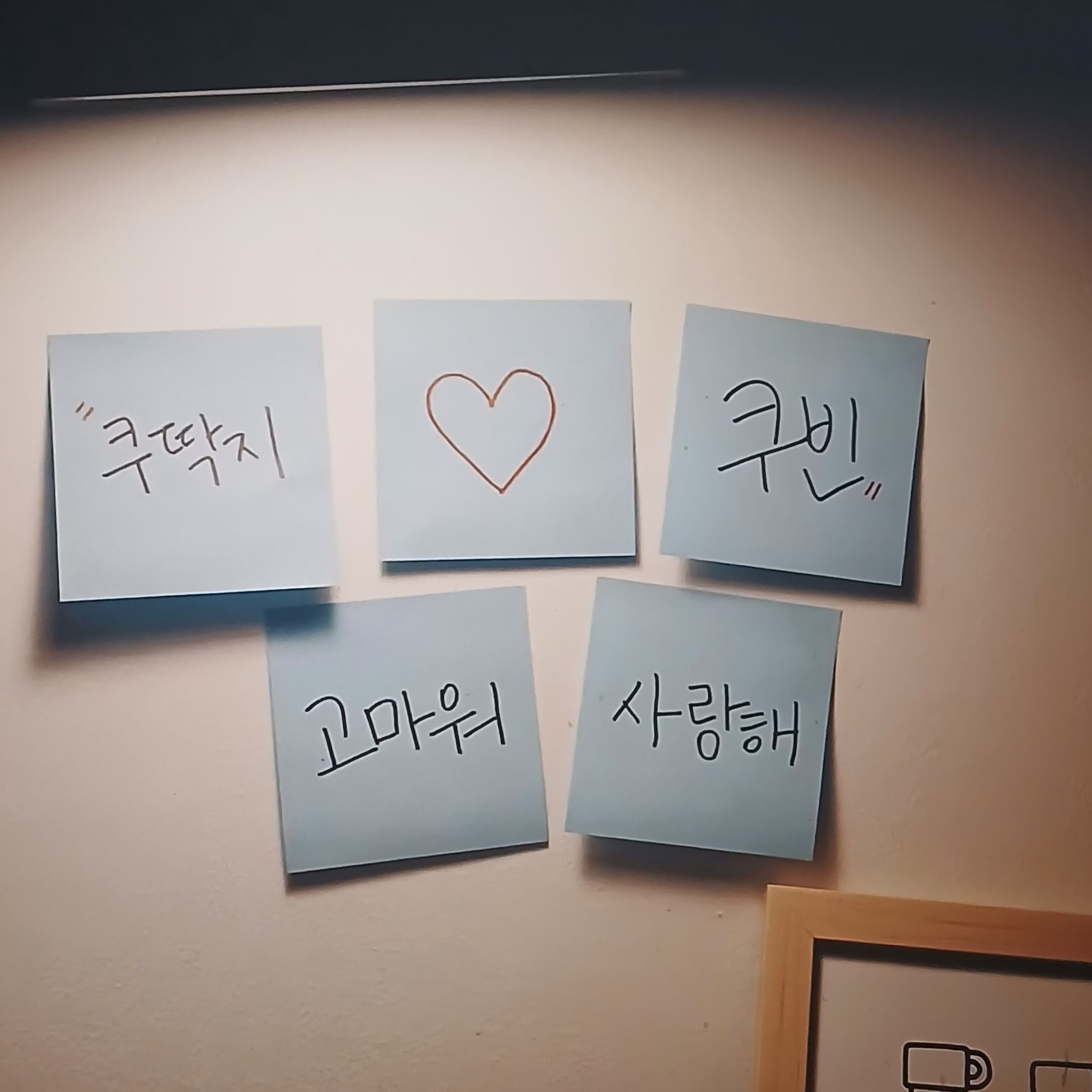비타민 대표 이미지