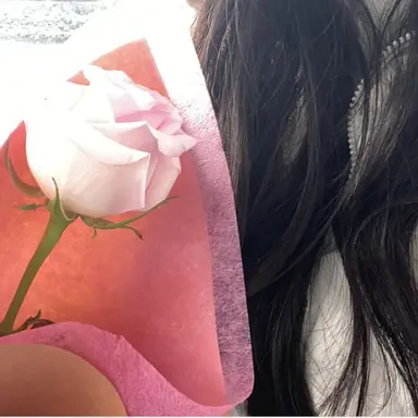 Profile image of 김치