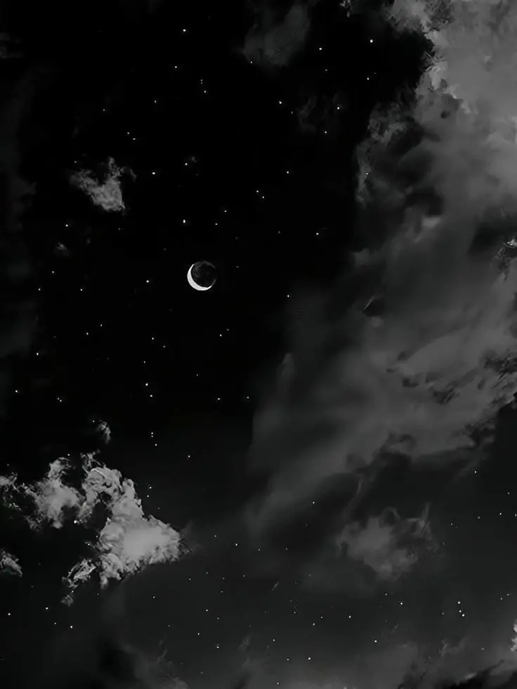 BarrenJazz9608의 뜰빛탐정