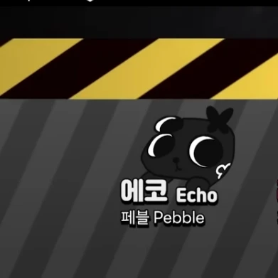 에코
