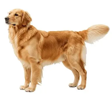Profile image of 양환희