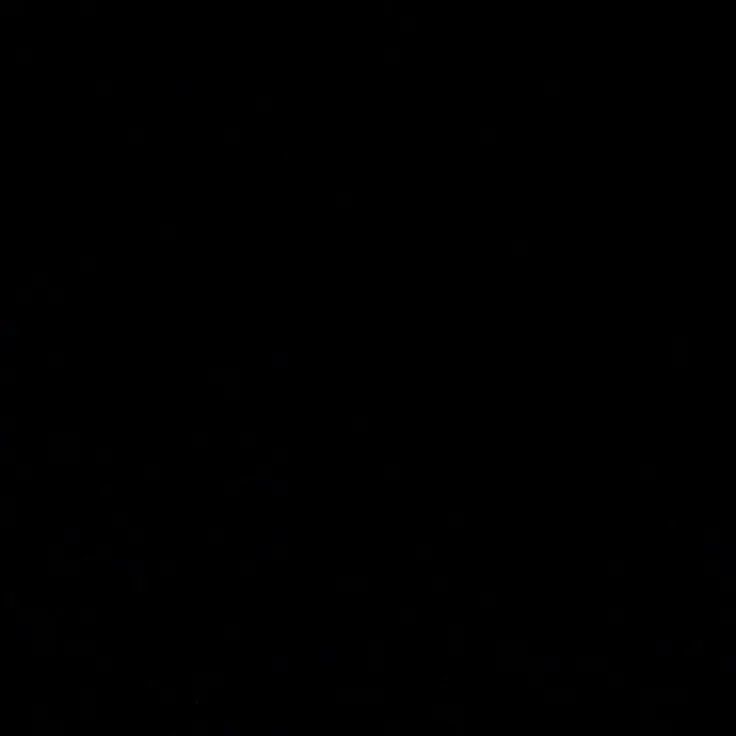 raniceri091221의 데식가이드팀