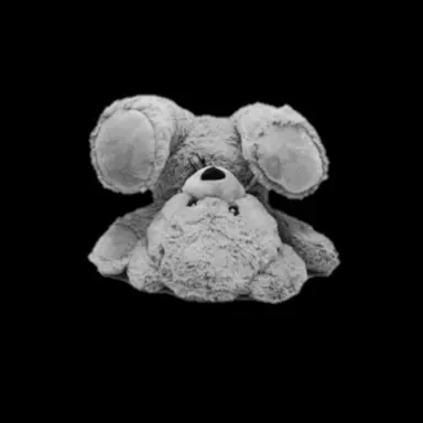 Profile image of 홍루
