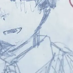 Profile image of 菊