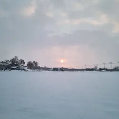 Profile image of 윤여우