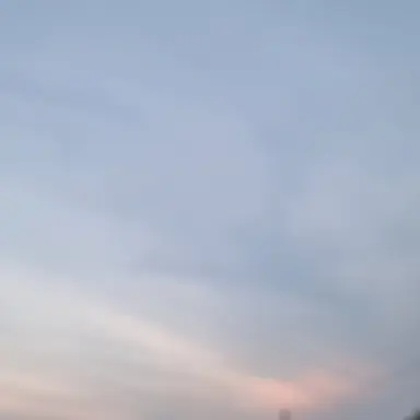 Profile image of 김 운 학