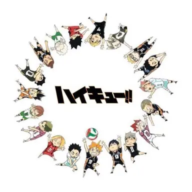 Profile image of ハイキュー