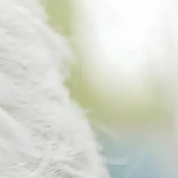 Profile image of 최엱준