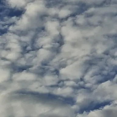 Profile image of 베이비