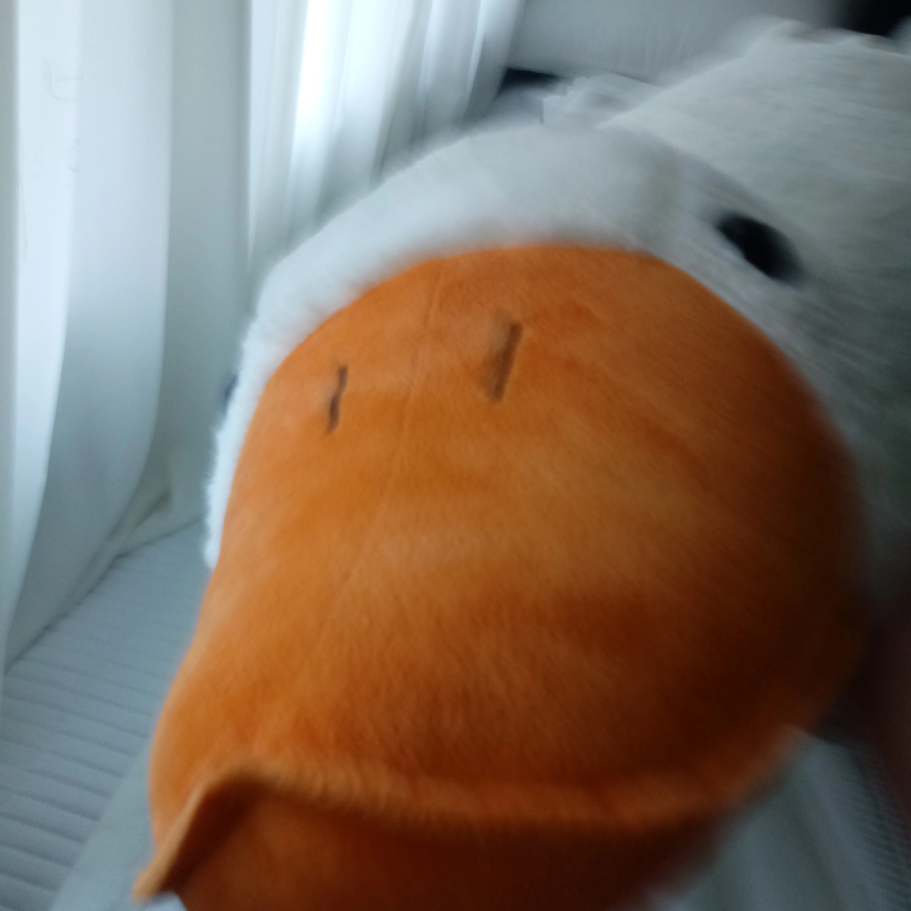 나는야 수집가