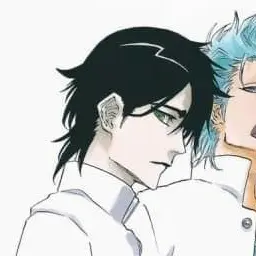 Profile image of Ulquiorra Cifer