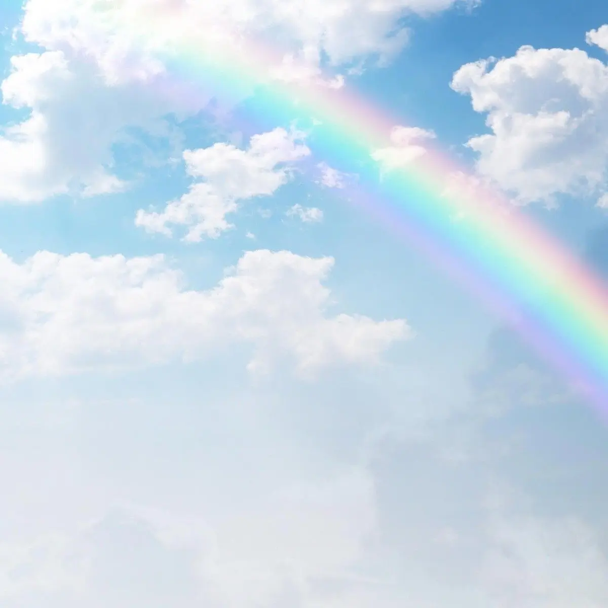 YummyBoots9682의 AAAと幼なじみ！？