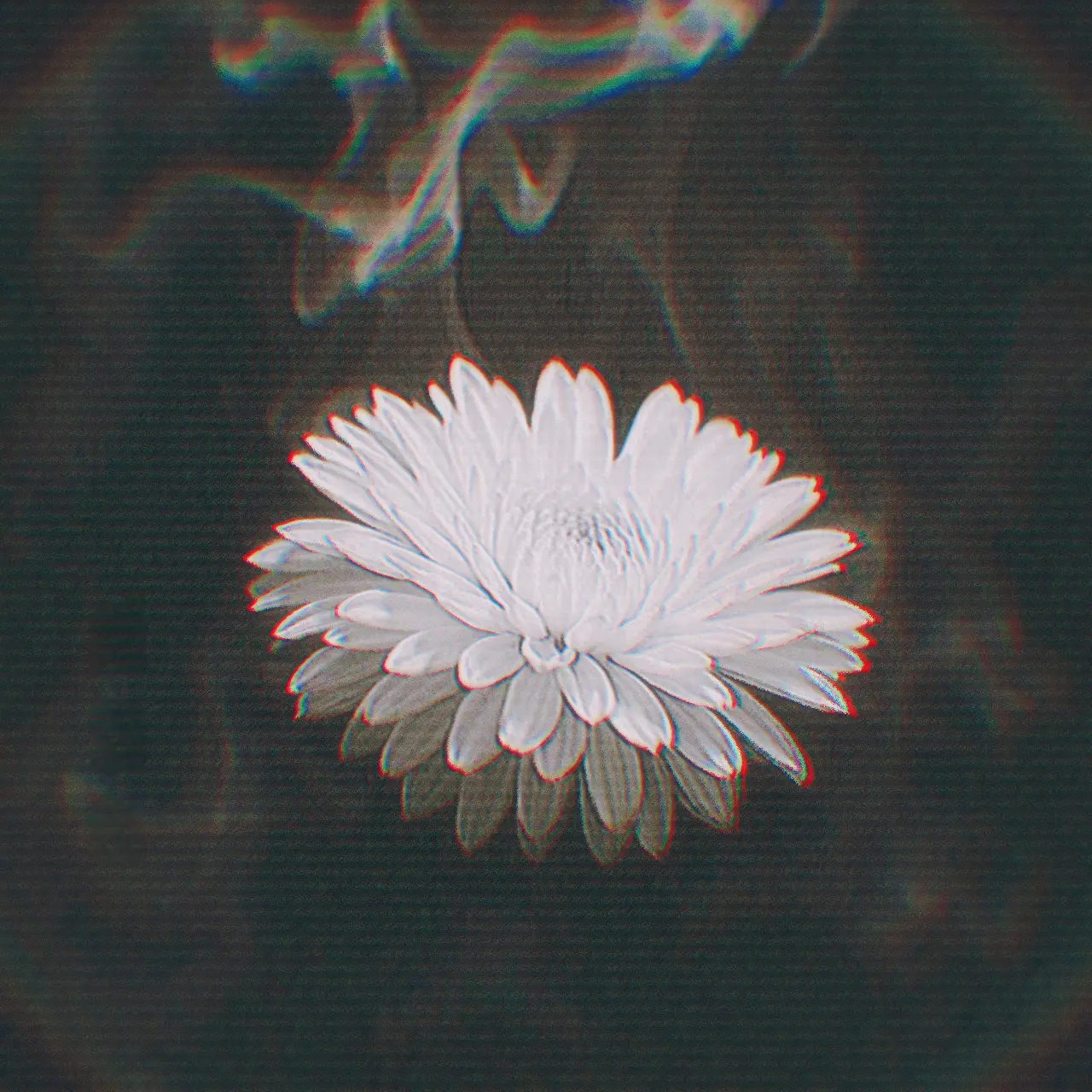 1.1.의 ㅤㅤ
