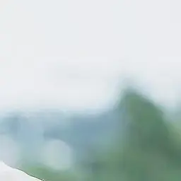 Profile image of 한지성