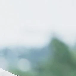 한지성