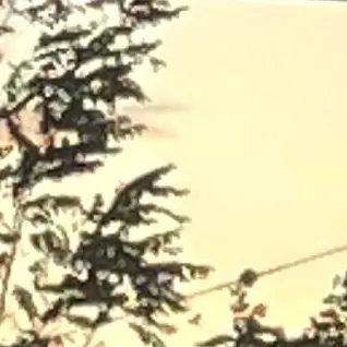 Profile image of 각별