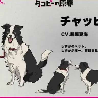Profile image of チャッピー