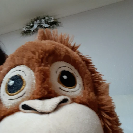 오랑이